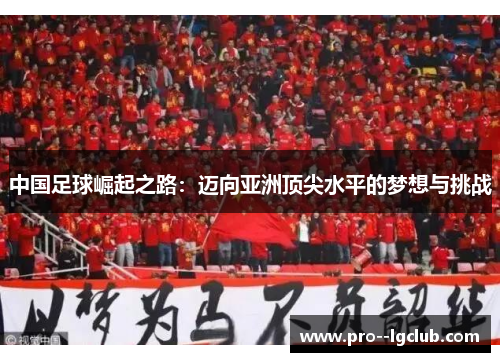 中国足球崛起之路：迈向亚洲顶尖水平的梦想与挑战