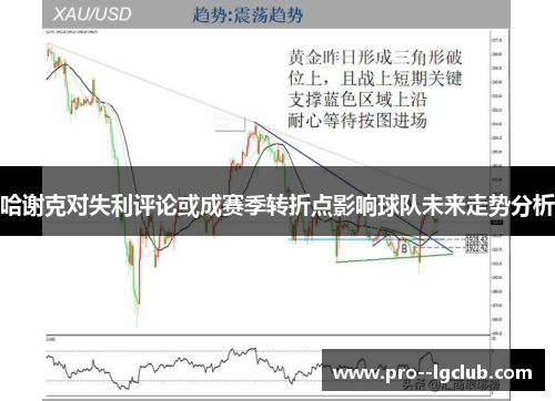 哈谢克对失利评论或成赛季转折点影响球队未来走势分析