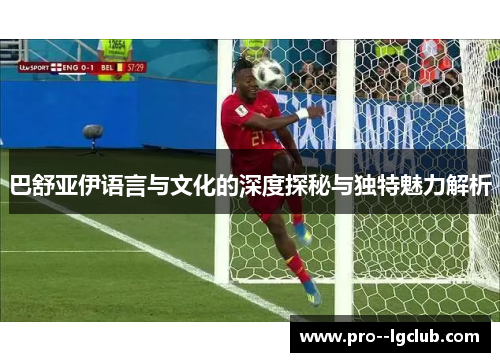 巴舒亚伊语言与文化的深度探秘与独特魅力解析