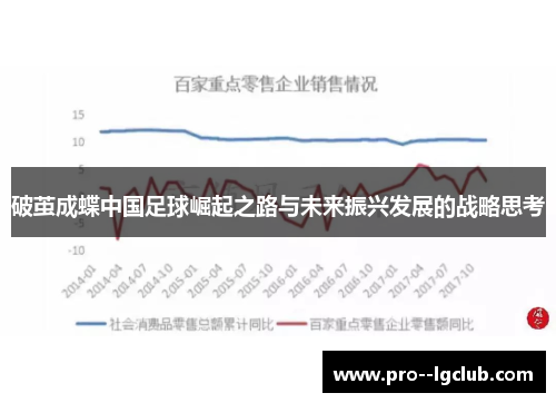 破茧成蝶中国足球崛起之路与未来振兴发展的战略思考