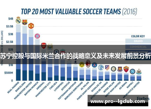 苏宁控股与国际米兰合作的战略意义及未来发展前景分析